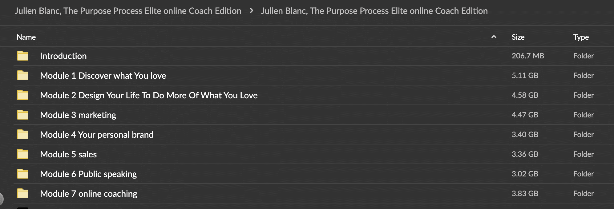 Julien Blanc – The Purpose Process 2024